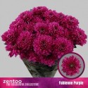 deco FABIENNE PURPL - Zentoo