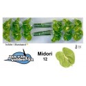 anthurium midori vert - Jan van Velden & Zn.