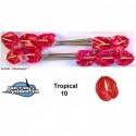 anthurium Tropical rouge - Jan van Velden...