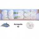 anthurium acropolis blanc - Jan van Velden...