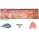 anthurium cheers rose - Jan van Velden & Zn.