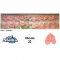 anthurium cheers rose - Jan van Velden & Zn.