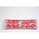 anthurium Candy rose - Peelen Anthurium