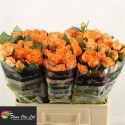 R branchue CORAL BUBBLES - .