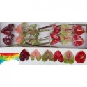 anthurium varié - Rainbow Flowers