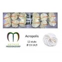 anthurium acropolis blanc - .