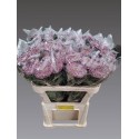 CHR G GILB L PURPLE - .
