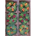 SIERFRUIT couronne H% - .