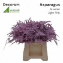 ASP OV KLB H% - Decorum Valk Groenesier