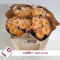 Golden Vuvuzela 50cm - Wans Roses