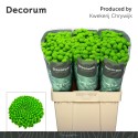 santini PEPTALK - Decorum CHRYWIJK
