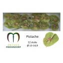 anthurium pistache x 12 - AnthurMiddendorp