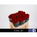 R Gr Red Naomi! 55cm - Aad Meewisse Roses