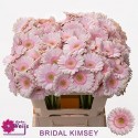 Ge MIi Bridal Kimsey rose - Gebr. Weijs...