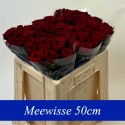 R Gr Red Naomi! 50cm - Aad Meewisse Roses