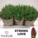 TU Strong Love - Tuliflor