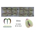 anthurium silvia x 12 - AnthurMiddendorp