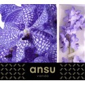 VANDA KAN DELFT BLUE - Ansu