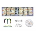 anthurium acropolis blanc x 16 -...