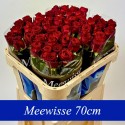 R Gr Red Naomi! 70cm - Aad Meewisse Roses