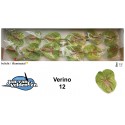 anthurium Verino vert 12 - Jan van Velden...