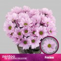 deco PRECIOUS - Zentoo