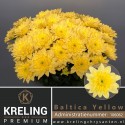 deco Baltica Yellow - klok - Kreling Premium
