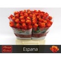 R GR ESPANA@ - Tinaw Flower