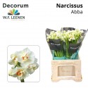 narcisse DU ABBA - W.F. Leenen
