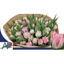 tulipe FOXTROT 50 - A & P Flowers
