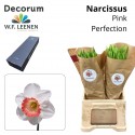narcisse PINK PERFECTION - W.F. Leenen