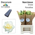 narcisse DU SNOW PARAD - W.F. Leenen