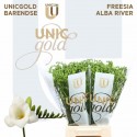 freesia ALBA RIVER - UNICGOLD Barendse