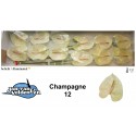 anthurium Champagne 12 - Jan van Velden & Zn.