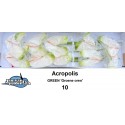 anthurium acropolis blanc 10 vert / Groene...