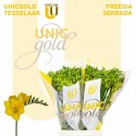 freesia Serrada jaune - UNICGOLD Tesselaar