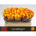 R GR CANDLELIGHT 50 - Minaye Flowers