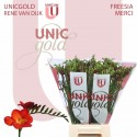 freesia MERCI - UNICGOLD Rene van Dijk