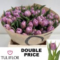 TU Double Price - Tuliflor