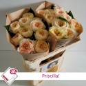R GR Priscilla! 50cm - Wans Roses