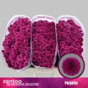CHR S PURPETTA - Zentoo