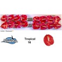 anthurium Tropical rouge 16 - Jan van...
