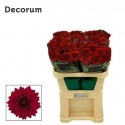 CHR G MONZA - Decorum ArcadiA