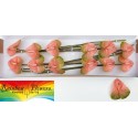 anthurium Gabriella12 - Rainbow Flowers