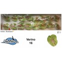anthurium Verino vert 16 - Jan van Velden...