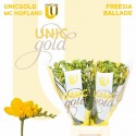 freesia BALLADE - UNICGOLD M.C. Hofland