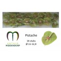 anthurium pistache x 16 - AnthurMiddendorp