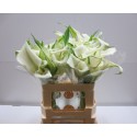 CALLA Crystal Blush blanc -...