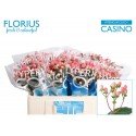 Hypericum Coco Casino DF - Florius BV
