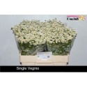matricaire PA SINGLE VEGMO 60 600 23 -...